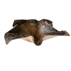 Willy Guhl Large Elephant Handkerchief Planter with Beautiful Moss and Lichen