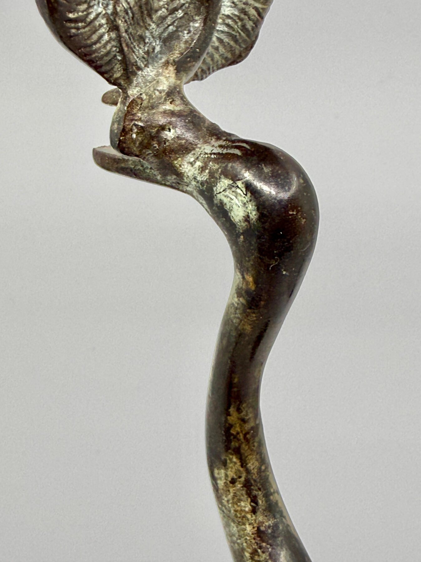 19th Century Neo Classical Grand Tour Bronze Heron Candle Holder - Image 12